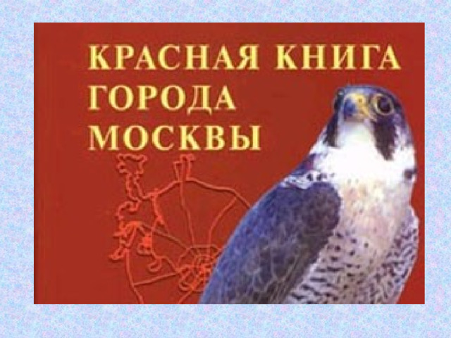 Животные красной книги москвы презентация