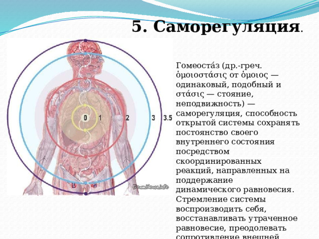 5. Саморегуляция . Гомеоста́з (др.-греч. ὁμοιοστάσις от ὁμοιος — одинаковый, подобный и στάσις — стояние, неподвижность) — саморегуляция, способность открытой системы сохранять постоянство своего внутреннего состояния посредством скоординированных реакций, направленных на поддержание динамического равновесия. Стремление системы воспроизводить себя, восстанавливать утраченное равновесие, преодолевать сопротивление внешней среды. 