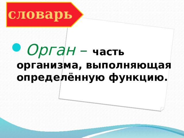 словарь Орган – часть организма, выполняющая определённую функцию. 