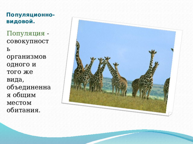 Популяционно-видовой.   Популяция - совокупность организмов одного и того же вида, объединенная общим местом обитания. 