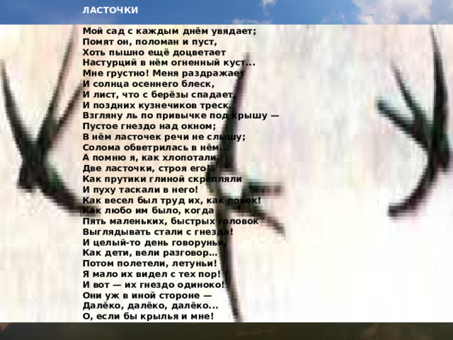 ЛАСТОЧКИ  Мой сад с каждым днём увядает; Помят он, поломан и пуст, Хоть пышно ещё доцветает Настурций в нём огненный куст... Мне грустно! Меня раздражает И солнца осеннего блеск, И лист, что с берёзы спадает, И поздних кузнечиков треск. Взгляну ль по привычке под крышу — Пустое гнездо над окном; В нём ласточек речи не слышу; Солома обветрилась в нём... А помню я, как хлопотали Две ласточки, строя его! Как прутики глиной скрепляли И пуху таскали в него! Как весел был труд их, как ловок! Как любо им было, когда Пять маленьких, быстрых головок Выглядывать стали с гнезда! И целый-то день говоруньи, Как дети, вели разговор… Потом полетели, летуньи! Я мало их видел с тех пор! И вот — их гнездо одиноко! Они уж в иной стороне — Далёко, далёко, далёко... О, если бы крылья и мне! 