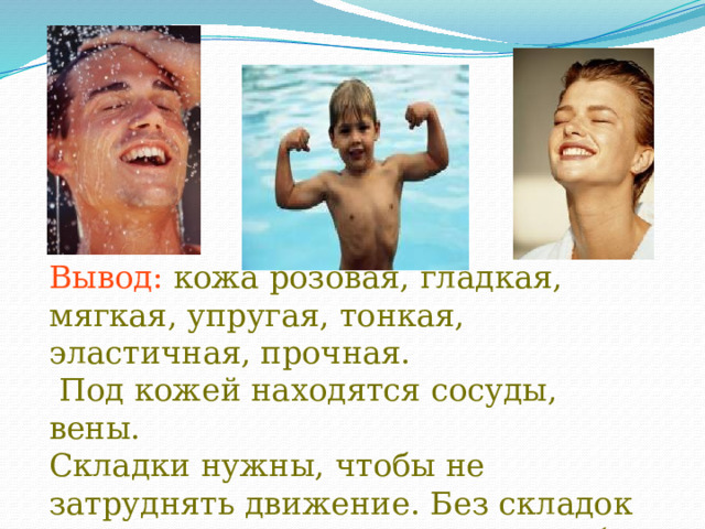 Вывод: кожа розовая, гладкая, мягкая, упругая, тонкая, эластичная, прочная.  Под кожей находятся сосуды, вены. Складки нужны, чтобы не затруднять движение. Без складок на коже- руки и ноги не смогли бы сгибаться. Кожа – растяжима. 