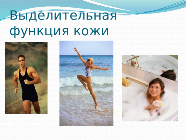 Выделительная функция кожи 