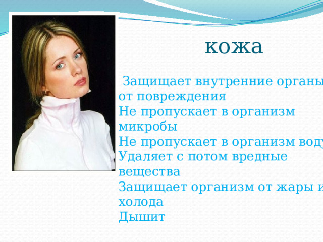 кожа  Защищает внутренние органы от повреждения  Не пропускает в организм микробы  Не пропускает в организм воду  Удаляет с потом вредные вещества  Защищает организм от жары и холода  Дышит   