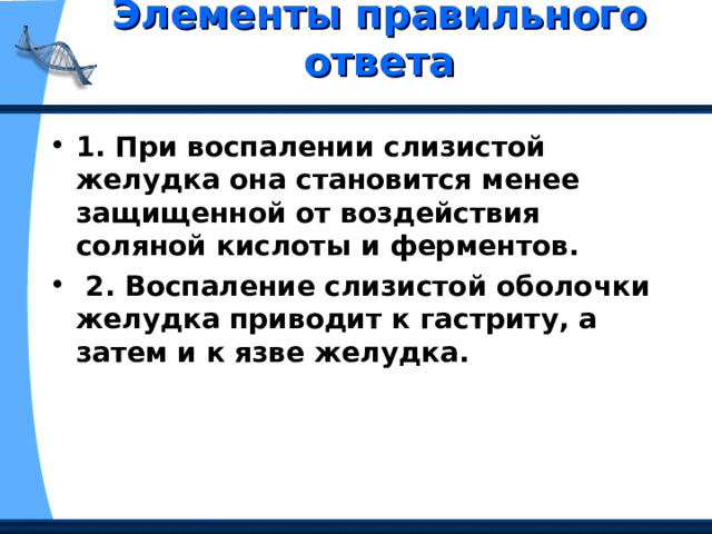 Элементы правильного ответа   1. При воспалении слизистой желудка она становится менее защищенной от воздействия соляной кислоты и ферментов.  2. Воспаление слизистой оболочки желудка приводит к гастриту, а затем и к язве желудка. 