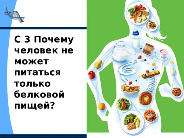 С 3 Почему человек не может питаться только белковой пищей? 