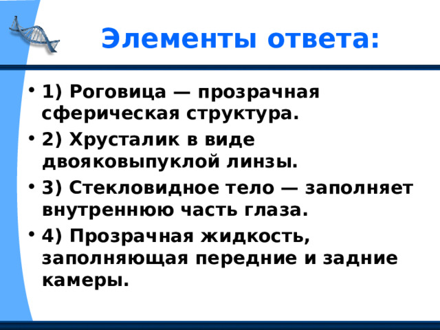 Элементы ответа: 1) Роговица — прозрачная сферическая структура. 2) Хрусталик в виде двояковыпуклой линзы. 3) Стекловидное тело — заполняет внутреннюю часть глаза. 4) Прозрачная жидкость, заполняющая передние и задние камеры.  
