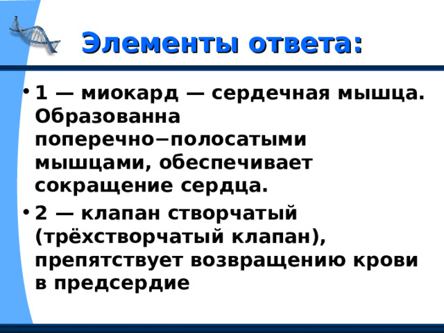 Элементы ответа: 1 — миокард — сердечная мышца. Образованна поперечно−полосатыми мышцами, обеспечивает сокращение сердца. 2 — клапан створчатый (трёхстворчатый клапан), препятствует возвращению крови в предсердие  