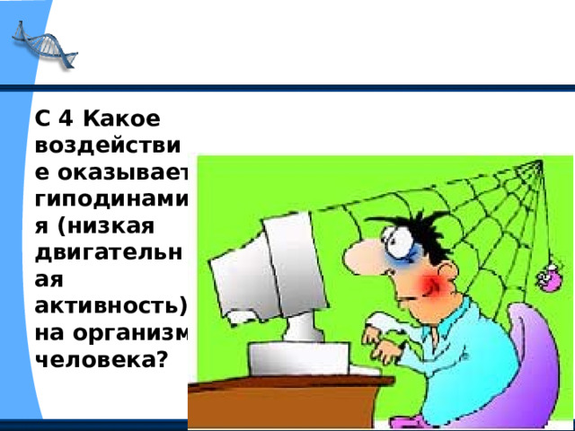 С 4 Какое воздействие оказывает гиподинамия (низкая двигательная активность) на организм человека?  