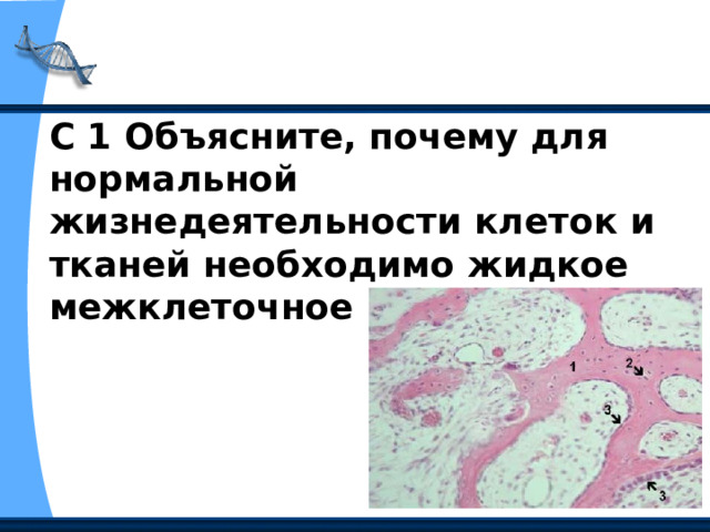 С 1 Объясните, почему для нормальной жизнедеятельности клеток и тканей необходимо жидкое межклеточное вещество. 