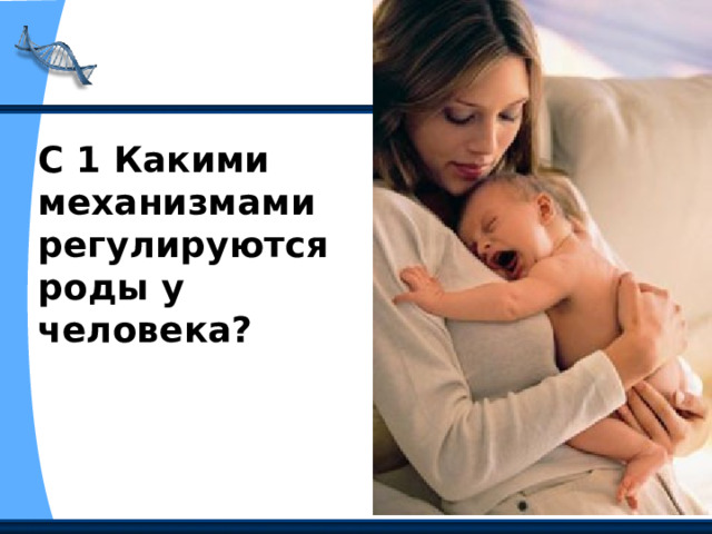 С 1 Какими механизмами регулируются роды у человека? 
