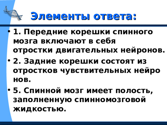 Элементы ответа: 1. Передние корешки спинного мозга включают в себя отростки двигательных нейронов. 2. Задние корешки состоят из отростков чувствительных нейронов. 5. Спинной мозг имеет полость, заполненную спинномозговой жидкостью.  