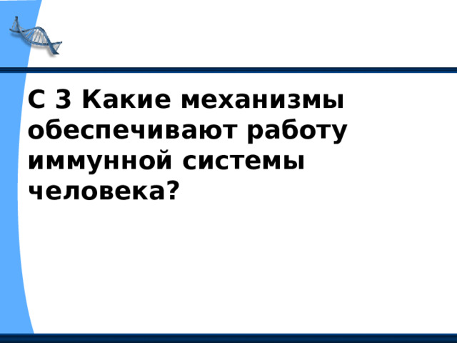 С 3 Какие механизмы обеспечивают работу иммунной системы человека? 