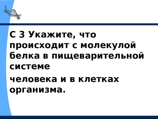С 3 Укажите, что происходит с молекулой белка в пищеварительной системе человека и в клетках организма. 