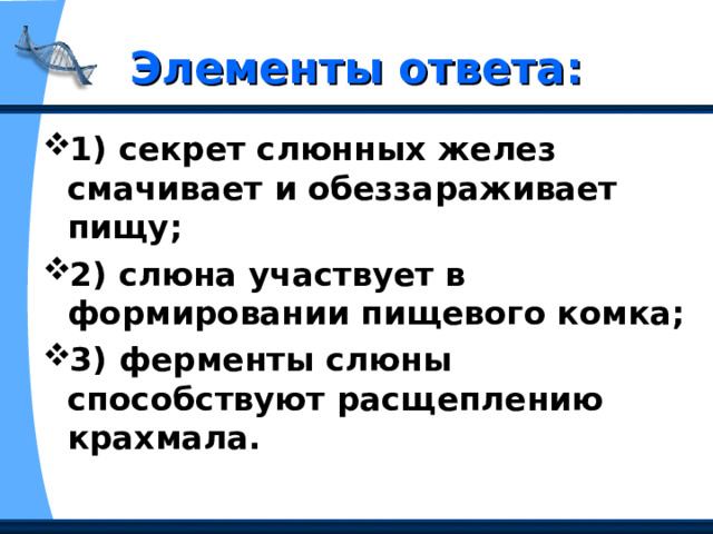 Элементы ответа: 1) секрет слюнных желез смачивает и обеззараживает пищу;  2) слюна участвует в формировании пищевого комка;  3) ферменты слюны способствуют расщеплению крахмала.  