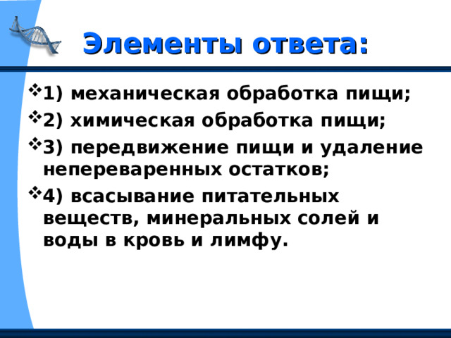 Элементы ответа: 1) механическая обработка пищи;  2) химическая обработка пищи;  3) передвижение пищи и удаление непереваренных остатков;  4) всасывание питательных веществ, минеральных солей и воды в кровь и лимфу.  