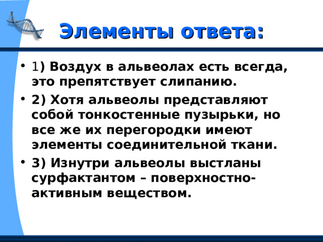 Элементы ответа: 1 ) Воздух в альвеолах есть всегда, это препятствует слипанию. 2) Хотя альвеолы представляют собой тонкостенные пузырьки, но все же их перегородки имеют элементы соединительной ткани. 3) Изнутри альвеолы выстланы сурфактантом – поверхностно-активным веществом. 