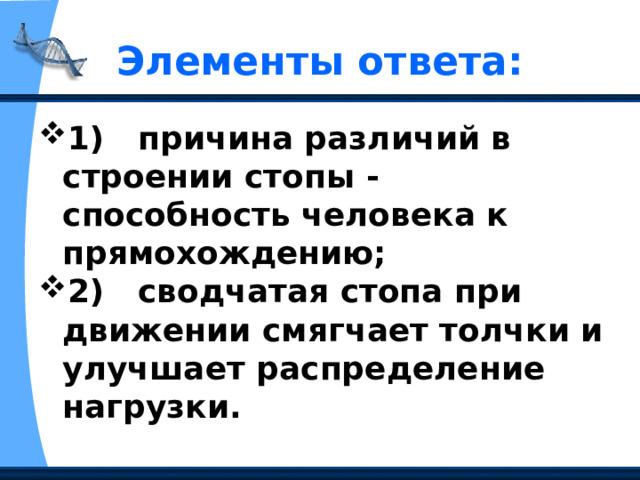 Элементы ответа: 1)    причина различий в строении стопы - способность человека к прямохождению; 2)     сводчатая стопа при движении смягчает толчки и улучшает распределение нагрузки. 