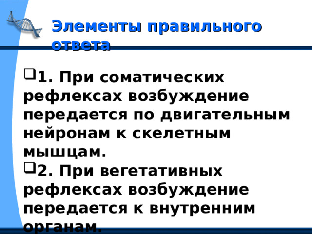 Элементы правильного ответа 1. При соматических рефлексах возбуждение передается по двигательным нейронам к скелетным мышцам. 2. При вегетативных рефлексах возбуждение передается к внутренним органам. 