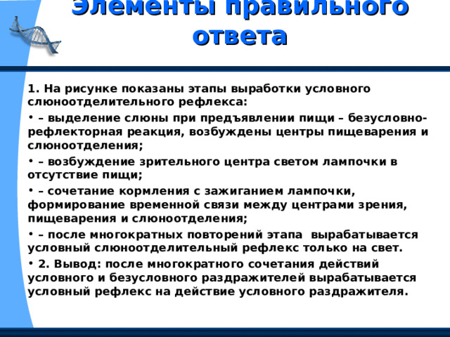Элементы правильного ответа   1. На рисунке показаны этапы выработки условного слюноотделительного рефлекса: – выделение слюны при предъявлении пищи – безусловно-рефлекторная реакция, возбуждены центры пищеварения и слюноотделения; – возбуждение зрительного центра светом лампочки в отсутствие пищи; – сочетание кормления с зажиганием лампочки, формирование временной связи между центрами зрения, пищеварения и слюноотделения; – после многократных повторений этапа вырабатывается условный слюноотделительный рефлекс только на свет.  2. Вывод: после многократного сочетания действий условного и безусловного раздражителей вырабатывается условный рефлекс на действие условного раздражителя. 
