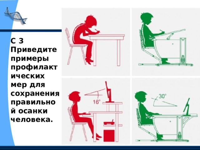 С 3 Приведите примеры профилактических мер для сохранения правильной осанки человека. 