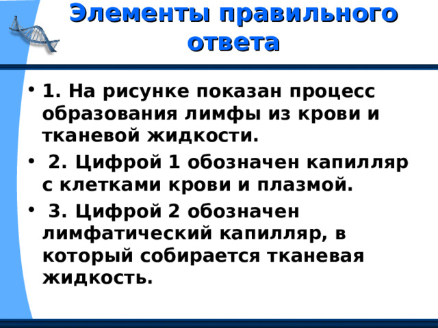 Элементы правильного ответа   1. На рисунке показан процесс образования лимфы из крови и тканевой жидкости.  2. Цифрой 1 обозначен капилляр с клетками крови и плазмой.  3. Цифрой 2 обозначен лимфатический капилляр, в который собирается тканевая жидкость. 