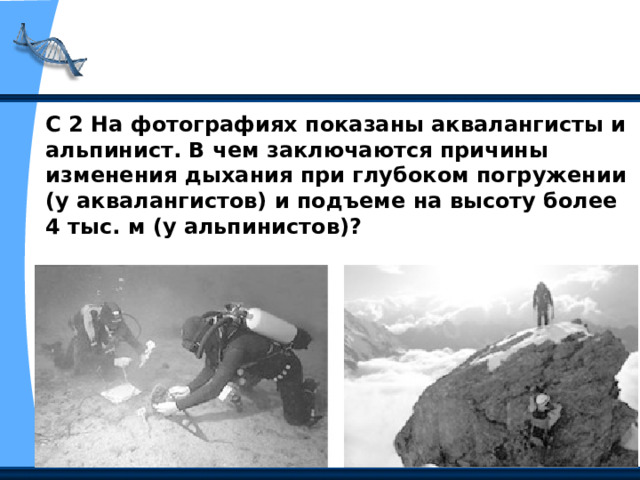 С 2 На фотографиях показаны аквалангисты и альпинист. В чем заключаются причины изменения дыхания при глубоком погружении (у аквалангистов) и подъеме на высоту более 4 тыс. м (у альпинистов)? 
