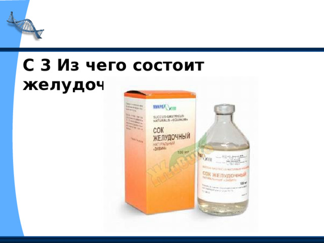 С 3 Из чего состоит желудочный сок? 