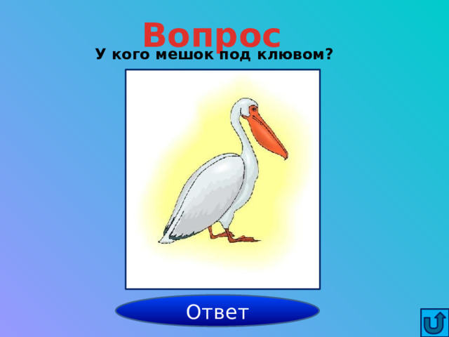 Вопрос У кого мешок под клювом? Ответ у пеликана 