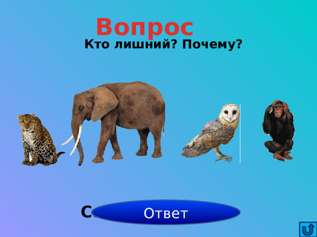 Вопрос Кто лишний? Почему? Сова- это птица. Ответ 