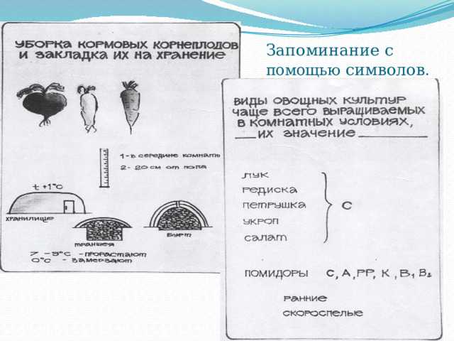 Запоминание с помощью символов . 