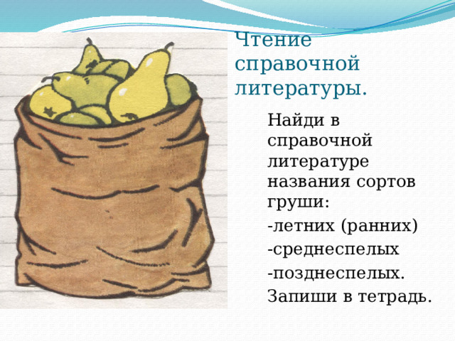 Чтение справочной литературы. Найди в справочной литературе названия сортов груши: -летних (ранних) -среднеспелых -позднеспелых. Запиши в тетрадь. 