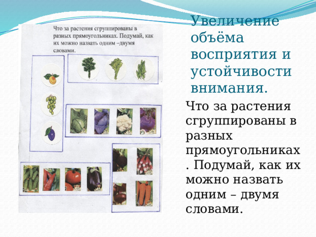 Увеличение объёма восприятия и устойчивости внимания. Что за растения сгруппированы в разных прямоугольниках. Подумай, как их можно назвать одним – двумя словами. 