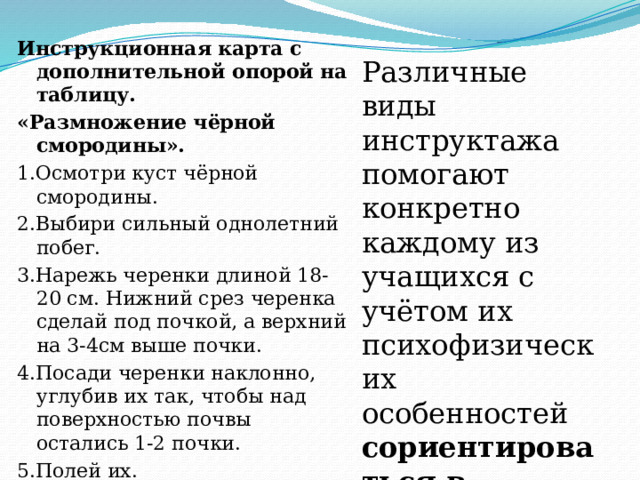 Инструкционная карта с дополнительной опорой на таблицу. «Размножение чёрной смородины». 1.Осмотри куст чёрной смородины. 2.Выбири сильный однолетний побег. 3.Нарежь черенки длиной 18-20 см. Нижний срез черенка сделай под почкой, а верхний на 3-4см выше почки. 4.Посади черенки наклонно, углубив их так, чтобы над поверхностью почвы остались 1-2 почки. 5.Полей их. Различные виды инструктажа помогают конкретно каждому из учащихся с учётом их психофизических особенностей сориентироваться в трудовом задании . 