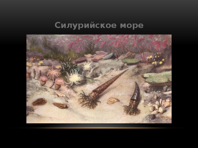 Силурийское море 