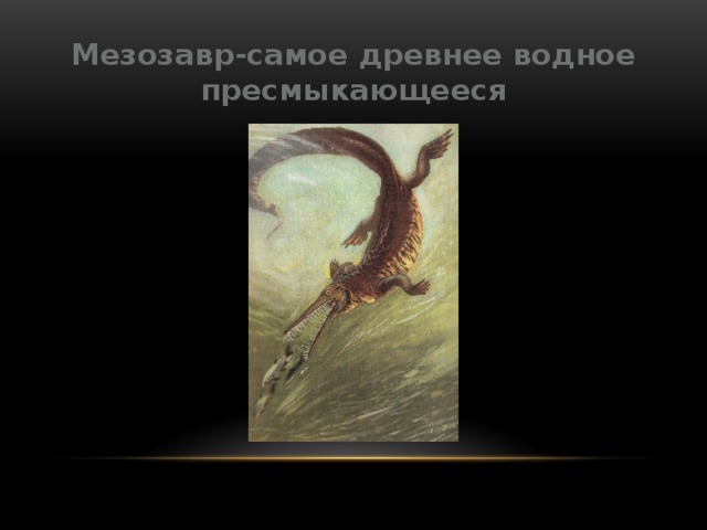 Мезозавр-самое древнее водное пресмыкающееся 
