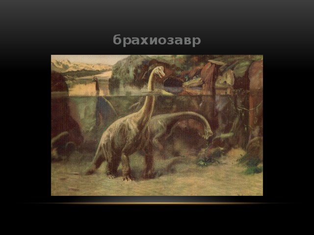 брахиозавр 