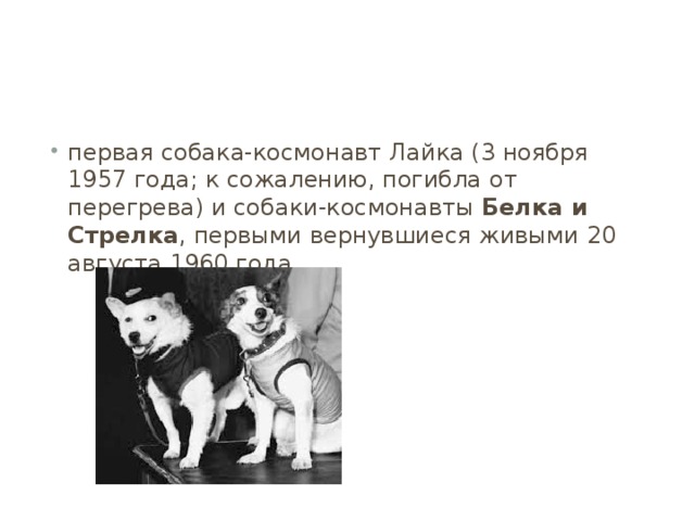 первая собака-космонавт Лайка (3 ноября 1957 года; к сожалению, погибла от перегрева) и собаки-космонавты  Белка и Стрелка , первыми вернувшиеся живыми 20 августа 1960 года 