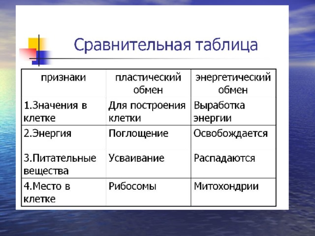 Презентация по биологии 8 класс пластический и энергетический обмен