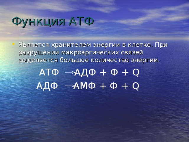 В атф заключено энергии