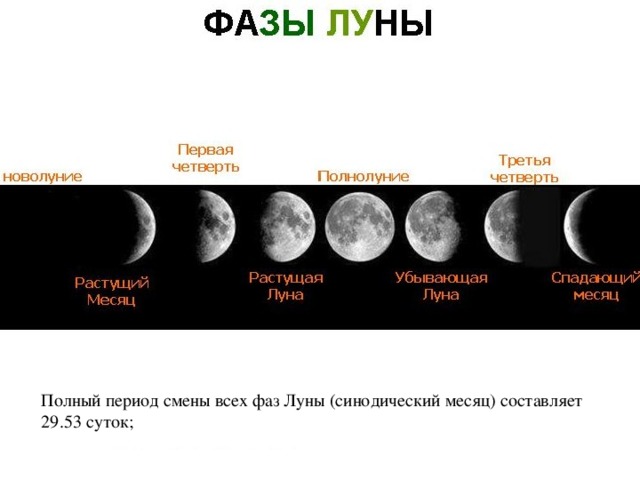 Полный период смены всех фаз Луны (синодический месяц) составляет 29.53 суток; 