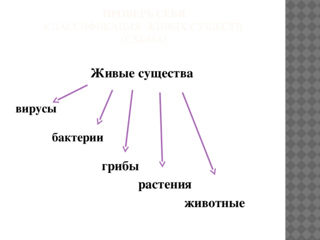 Признаки живых существ схема