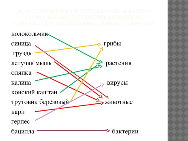 Признаки живых существ схема