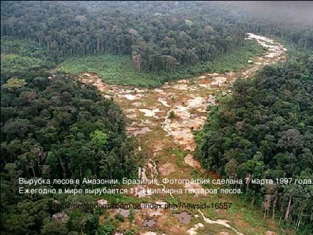Вырубка лесов в Амазонии, Бразилия. Фотография сделана 7 марта 1997 года.  Ежегодно в мире вырубается 11,3 миллиона гектаров лесов.  http://nevsedoma.com.ua/index.php?newsid=16557 