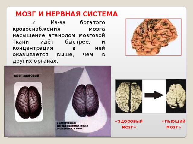 Кислород мозги. Насыщение мозга кислородом. Насытить мозг кислородом. Способствуют насыщению мозга кислородом. Упражнения для насыщения мозга кислородом.