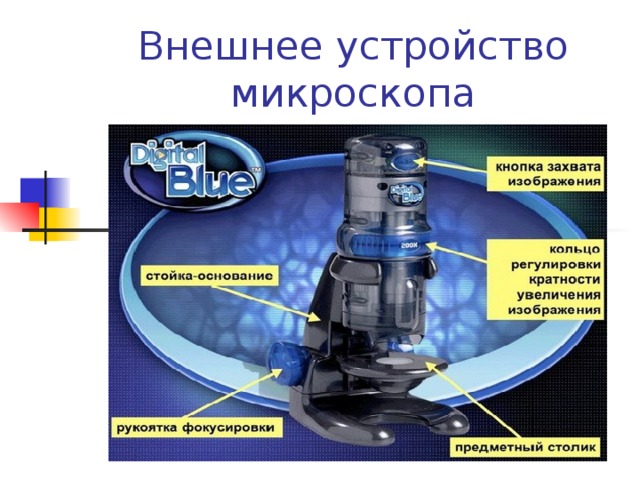 Микроскоп строение с подписями