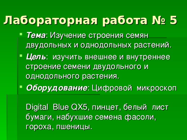 Строение семян двудольных растений строение семян однодольных растений презентация