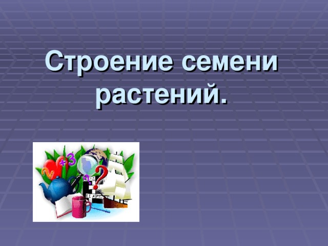 Строение семени растений. 