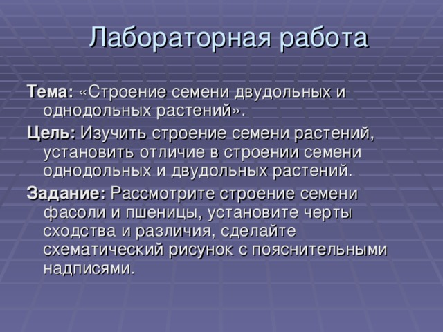 Лабораторная работа Тема: «Строение семени двудольных и однодольных растений». Цель: Изучить строение семени растений, установить отличие в строении семени однодольных и двудольных растений. Задание: Рассмотрите строение семени фасоли и пшеницы, установите черты сходства и различия, сделайте схематический рисунок с пояснительными надписями. 
