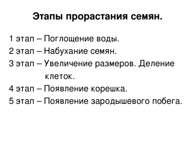 Этапы прорастания семян. 1 этап – Поглощение воды. 2 этап – Набухание семян. 3 этап – Увеличение размеров. Деление  клеток. 4 этап – Появление корешка. 5 этап – Появление зародышевого побега. 